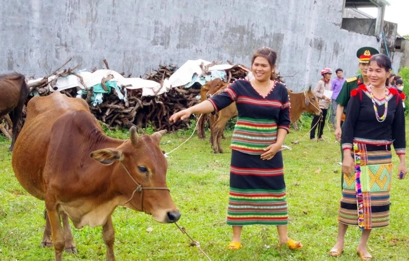 Các hộ đồng bào dân tộc thiểu số tại huyện Bù Đăng vui mừng khi được trao bò giống.