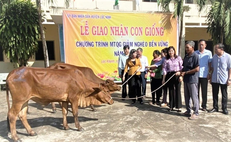 Hỗ trợ con giống cho các hộ nghèo là đồng bào dân tộc thiểu số trên địa bàn huyện Lộc Ninh.