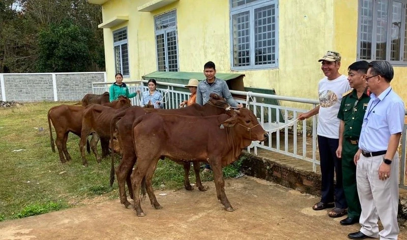 Đoàn Kinh tế-Quốc phòng 778 tặng bò giống cho đồng bào dân tộc thiểu số nghèo ở Tiểu khu 119.