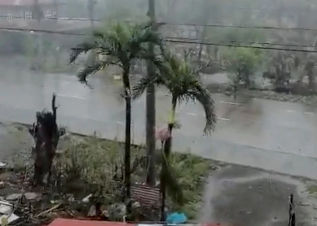 Bão Usagi gây đổ cây cối ở Palawig, Santa Ana, tỉnh Cagayan Philippines.