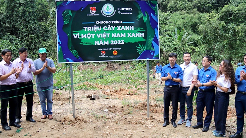 Chương trình “Triệu cây xanh-Vì một Việt Nam xanh” năm 2023 được triển khai với mục tiêu trồng mới cây xanh tại rừng phòng hộ đầu nguồn của tỉnh Bình Thuận. (Ảnh: Phú Hà)