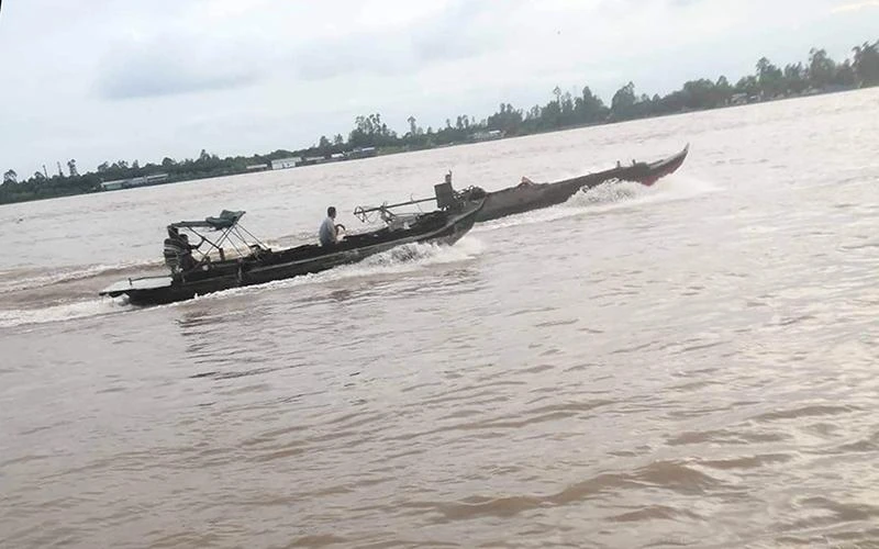 Ghe cào hoạt động tại khu vực bờ kè Bình Thành, huyện Thanh Bình (Đồng Tháp).