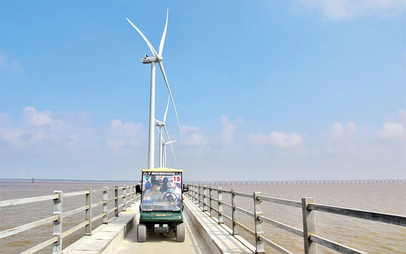 Du khách Thành phố Hồ Chí Minh tham quan điện gió ở tỉnh Bạc Liêu.