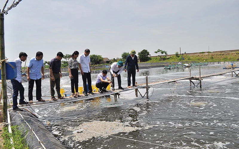 Cán bộ và người dân xã Kim Trung, huyện Kim Sơn, tỉnh Ninh Bình trao đổi kỹ thuật nuôi trồng thủy sản.