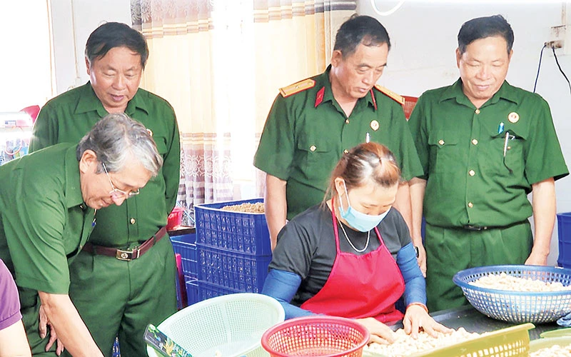 Các Cựu chiến binh tham quan cơ sở chế biến hạt điều của doanh nhân cựu chiến binh Bùi Thị Hảo ở phường Phước Bình, thị xã Phước Long.
