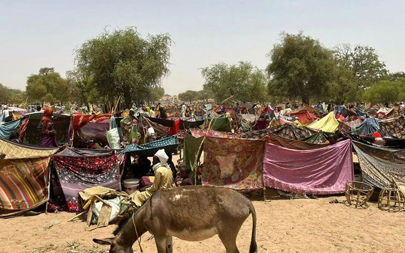 Người tị nạn Sudan sống trong các khu lều tạm ở biên giới Chad.