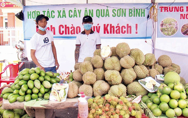 Một gian hàng trái cây tại Lễ hội trái cây Khánh Sơn.