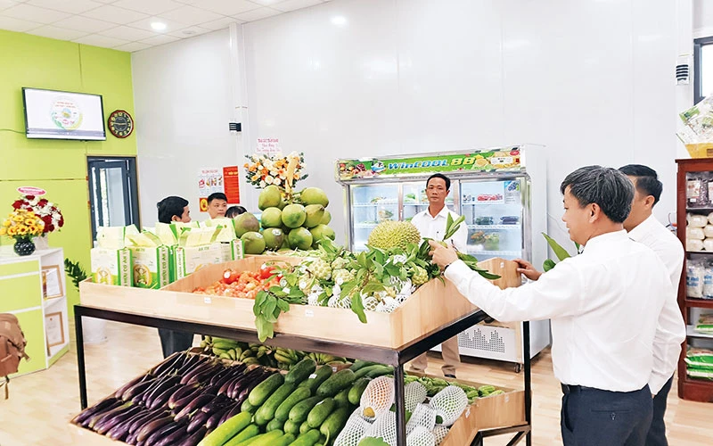 Nhiều sản phẩm nông nghiệp được trưng bày, giới thiệu tại Trung tâm quảng bá nông sản Hoài Ân.
