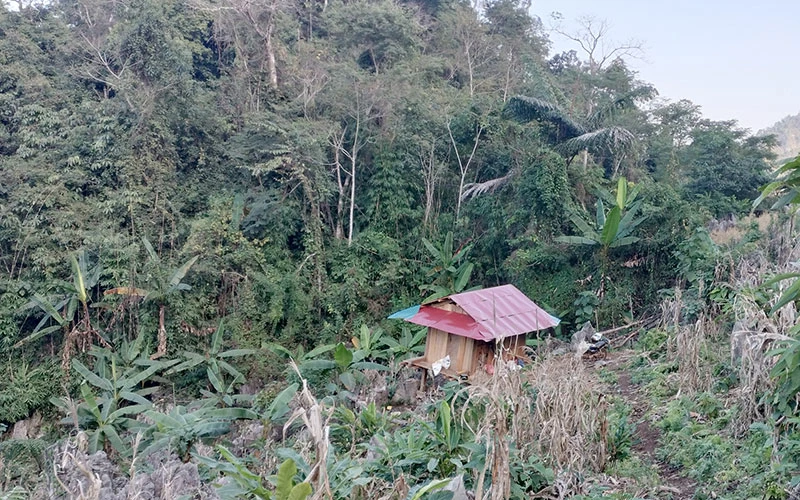 Một chiếc lán gỗ lợp tôn đỏ nằm giữa rừng phòng hộ khu vực giáp ranh hai tỉnh Sơn La và Điện Biên.