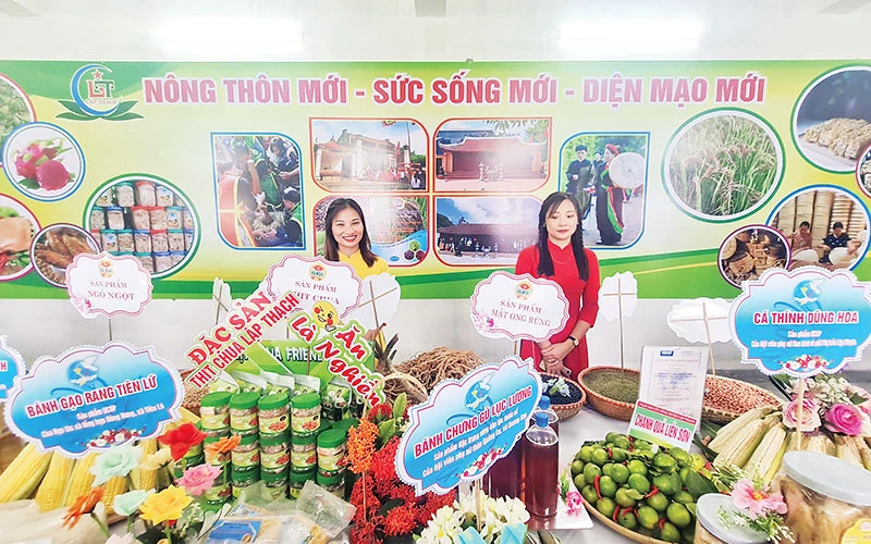 Gian trưng bày sản phẩm nông nghiệp thôn Hoàng Chung, xã Đồng Ích, huyện Lập Thạch, tỉnh Vĩnh Phúc.