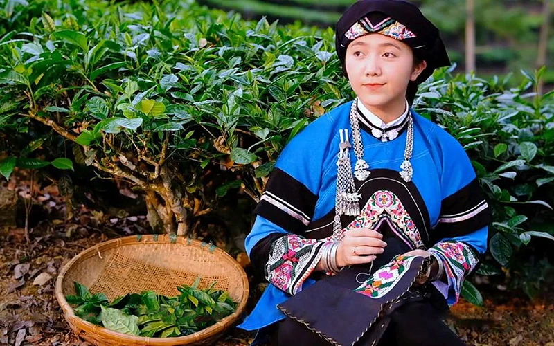 Lồ Phà Tú Anh là cô gái Bố y, cũng là tác giả của clip giành giải nhất Cuộc thi “Tinh hoa Việt Nam”.