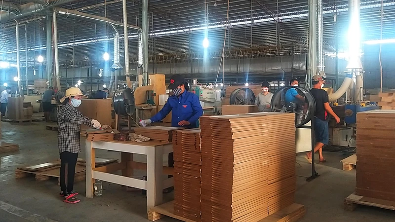 Sản xuất gỗ ván ép xuất khẩu tại Công ty TNHH Junma Phú Thọ.