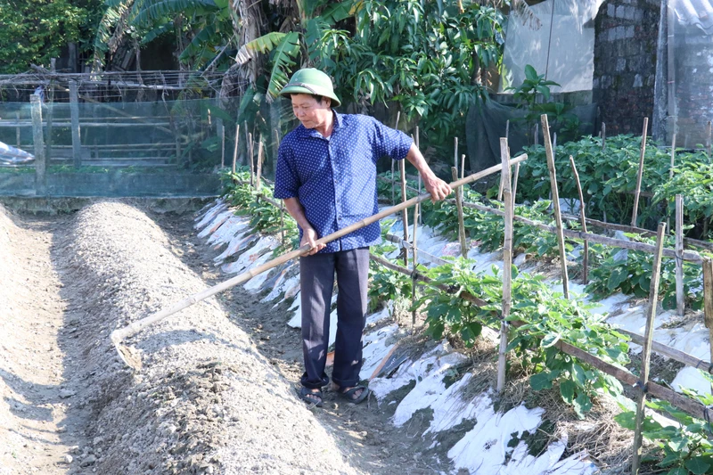 Gia đình ông Bùi Đức Lý (huyện Thạch Hà, Hà Tĩnh) vay vốn ưu đãi của Ngân hàng Chính sách xã hội để phát triển kinh tế theo mô hình VAC, đã thoát nghèo vươn lên thành hộ khá trên địa bàn.