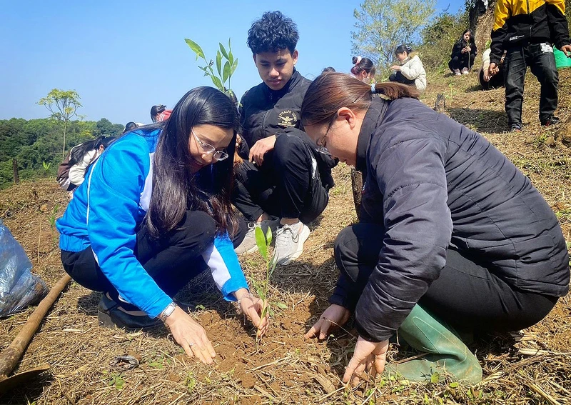 Cán bộ đoàn, đoàn viên, thanh niên tham gia “Tết trồng cây đời đời nhớ ơn Bác Hồ” năm 2023 tại tỉnh Hòa Bình.