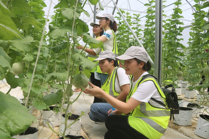Đại diện các đơn vị lữ hành của Bắc Ninh trải nghiệm thực tế trang trại nông nghiệp công nghệ cao Delco Farm (huyện Thuận Thành).