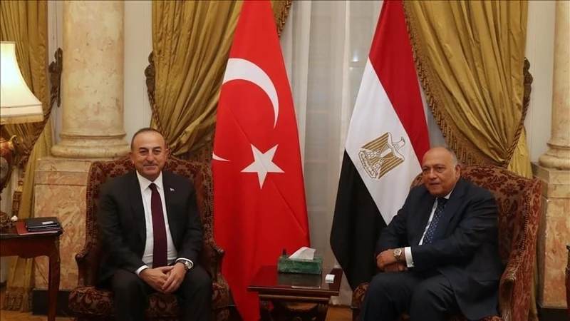 Hai Bộ trưởng Ngoại giao Ai Cập và Thổ Nhĩ Kỳ.