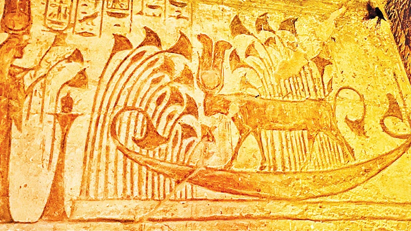 Tạo hình sống động của những cây papyrus được lưu lại trên bức tường lớn của ngôi đền nổi tiếng Abu Simbel.