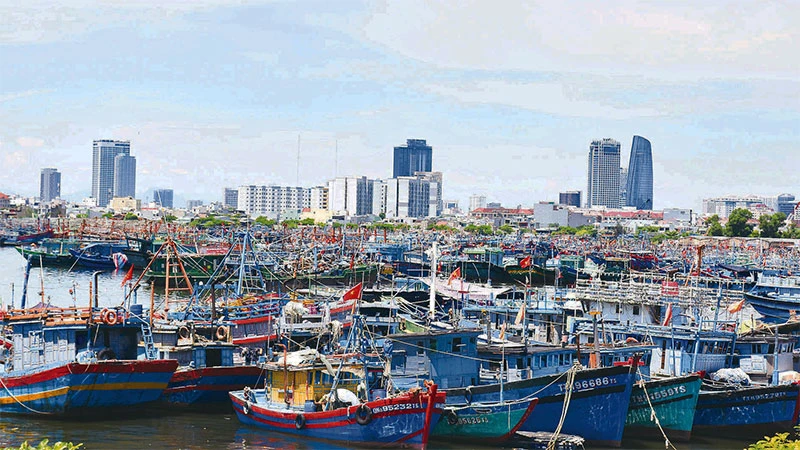 Tàu cá của ngư dân miền trung neo đậu tại Âu thuyền cảng cá Thọ Quang (TP Đà Nẵng).