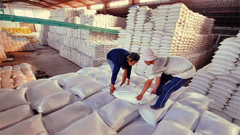 Giá gạo trong nước và xuất khẩu đang tăng mạnh.