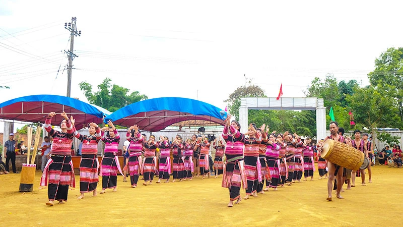 Lễ hội mừng lúa mới của đồng bào Ba Na, thôn K8, xã Vĩnh Sơn, huyện Vĩnh Thạnh.