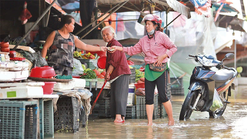 Tiểu thương chợ Hội An tranh thủ bán hàng sau cơn mưa.