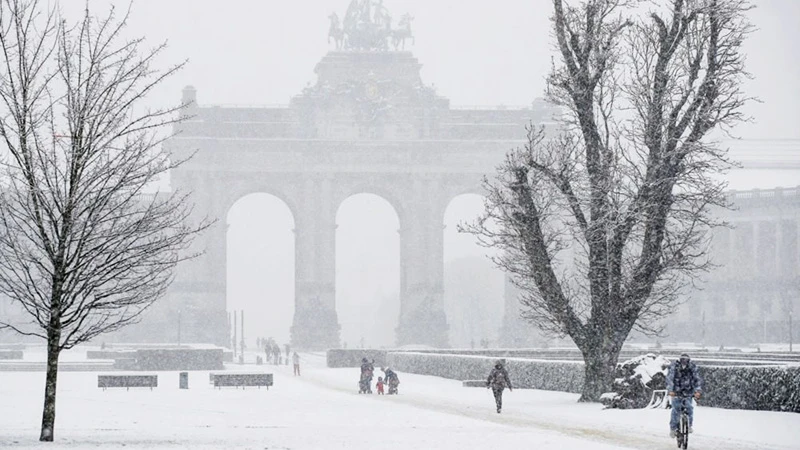 Hoạt động giao thông ở Brussels gặp khó khăn do tuyết rơi dày.