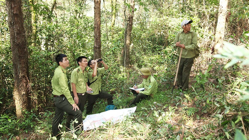Cán bộ Vườn quốc gia Tam Đảo kiểm tra xác định ranh giới diện tích chồng lấn.