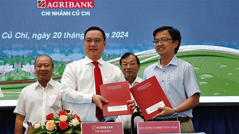 Đại diện các chi nhánh Agribank trên địa bàn Thành phố Hồ Chí Minh ký kết hỗ trợ khách hàng.
