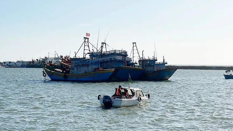 Khu neo đậu tránh, trú bão cấp vùng - cảng cá Phú Hải đưa vào hoạt động giúp tàu, thuyền an toàn mỗi khi có bão.