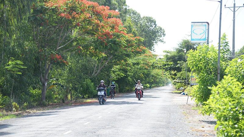 Tuyến đường khang trang tại xã Thạnh Tân, huyện Tân Phước (Tiền Giang).