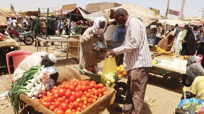 Sudan đang phải chật vật bảo đảm an ninh lương thực. (Ảnh: REUTERS)