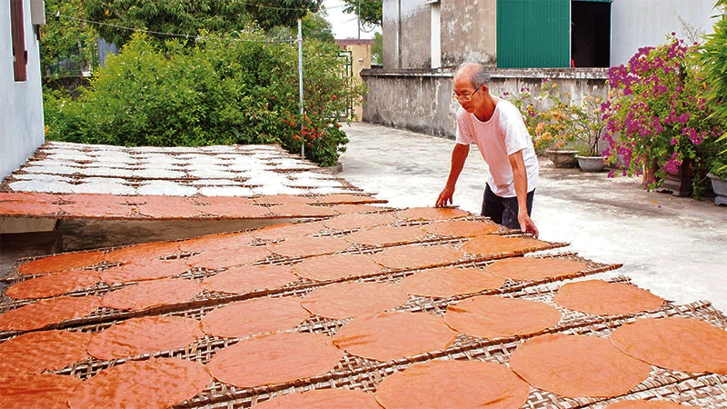 Nghề làm bánh đa truyền thống tại thôn Phong An, xã Khánh Thiện, huyện Yên Khánh. (Ảnh: HOÀNG HIỆP)