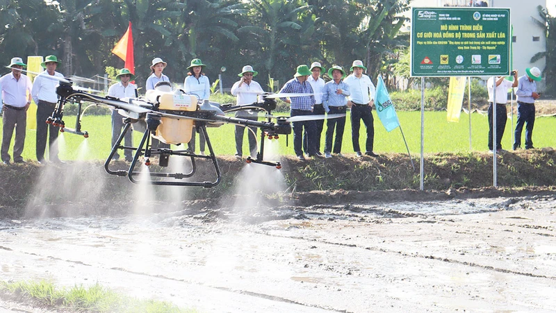 Đưa thiết bị bay không người lái vào phun thuốc diệt cỏ, sâu bệnh trên cây lúa tại huyện Mộ Đức (tỉnh Quảng Ngãi).