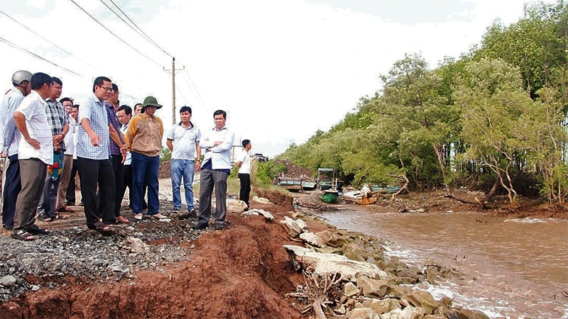 Lãnh đạo tỉnh và thành phố Bạc Liêu khảo sát thực tế điểm thường xuyên bị sạt lở ở tuyến đê biển Đông. 