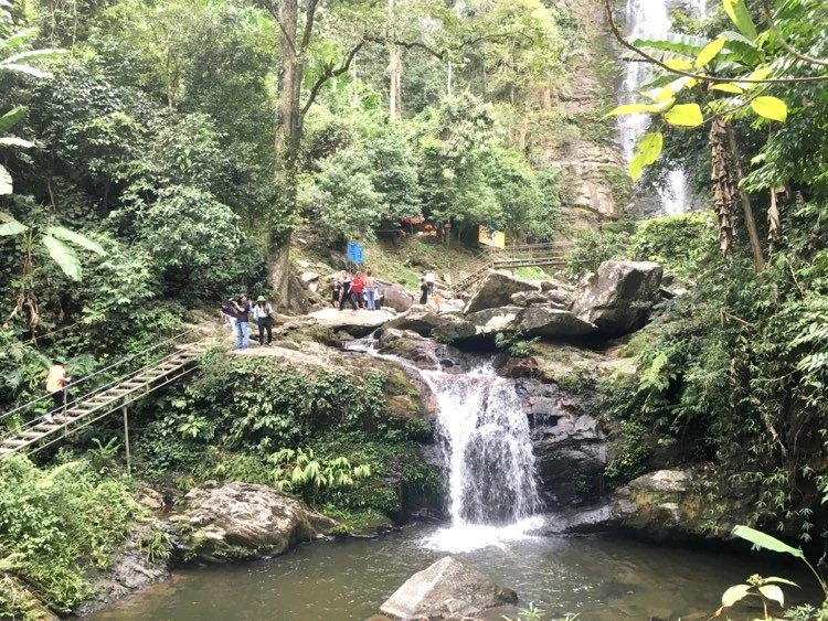 Du lịch sinh thái tại rừng quốc gia Pù Mát (Nghệ An).
