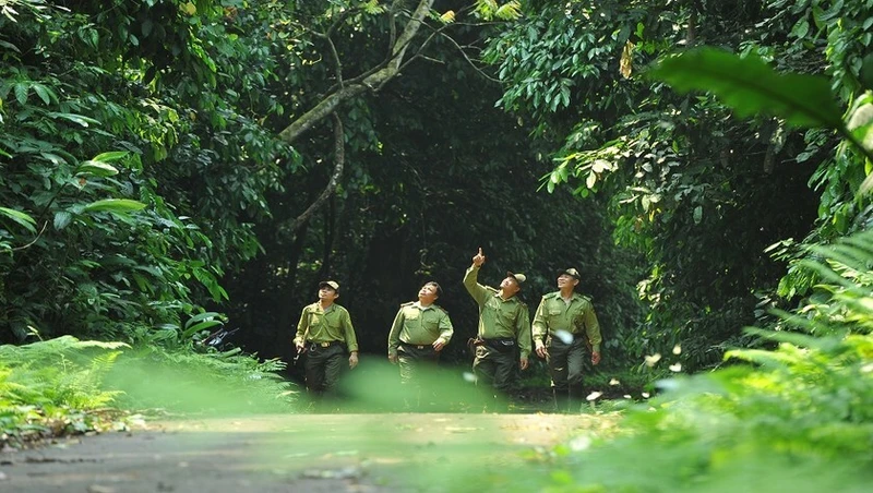 Kiểm lâm Vườn quốc gia Cúc Phương tuần tra bảo vệ rừng.