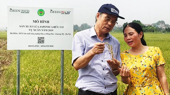 Chị Trịnh Thị Nguyệt, Chủ tịch Hợp tác xã Đồng Phú trao đổi với PGS,TS Mai Quang Vinh về lúa hữu cơ Đồng Phú.