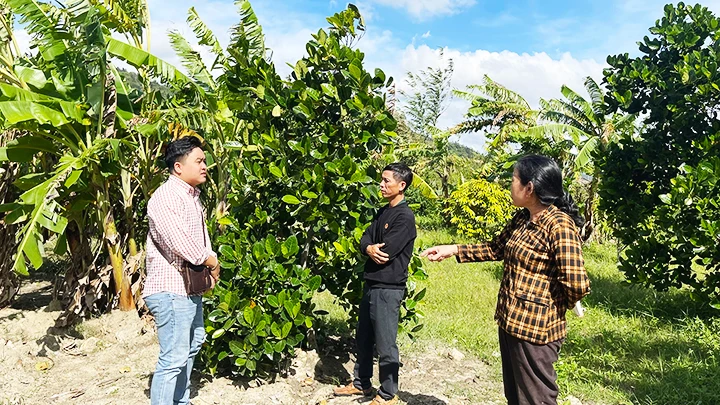 Đại diện các hộ dân trao đổi ý kiến với phóng viên trên thửa đất khai hoang và sử dụng hợp pháp từ năm 1979 đến nay, nhưng chưa được cấp CNQSDĐ.