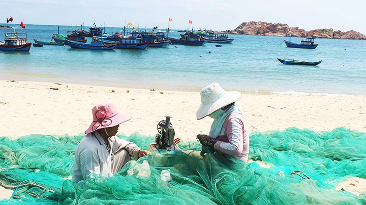 Cần tạo điều kiện chuyển đổi nghề cho cả những người làm dịch vụ nghề cá. Trong ảnh: May vá lưới ở Nhơn Hải, Quy Nhơn.