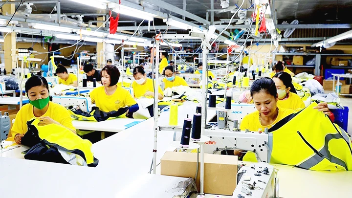 Lao động ngành dệt may đang gặp nhiều khó khăn do đơn hàng của doanh nghiệp sụt giảm. Ảnh: TTXVN
