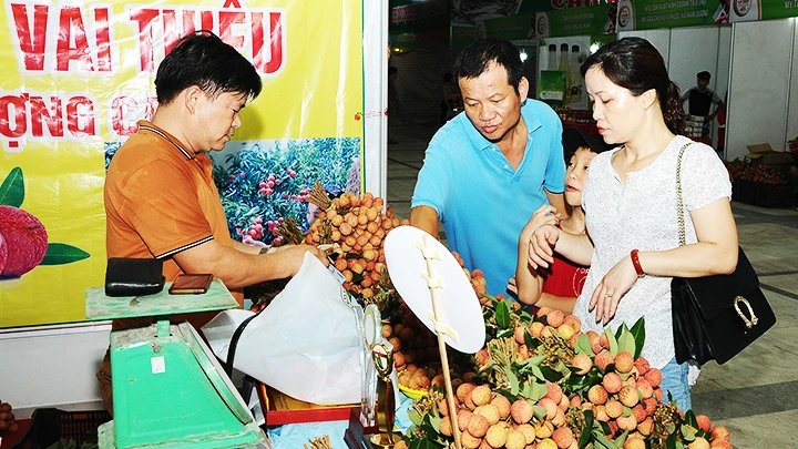 Thị trường tiêu thụ vải Bắc Giang được mở rộng nhờ chỉ dẫn địa lý. Ảnh: NG.NAM