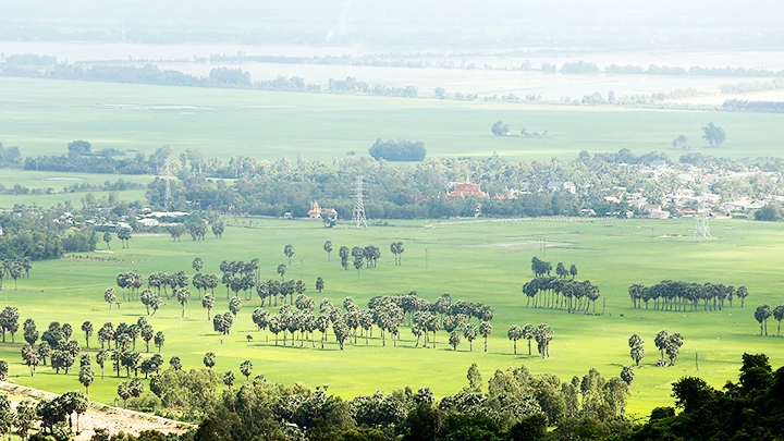 Cánh đồng vùng Tri Tôn nhìn từ đỉnh núi Cấm. Ảnh: K.MINH