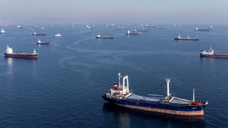 Các tàu chở ngũ cốc rời cảng Ukraine khi thỏa thuận ngũ cốc Biển Đen còn hiệu lực. Ảnh: TASS