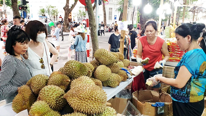 Sầu riêng đang dẫn đầu về kim ngạch xuất khẩu trong ngành hàng trái cây. Ảnh: HẢI NAM