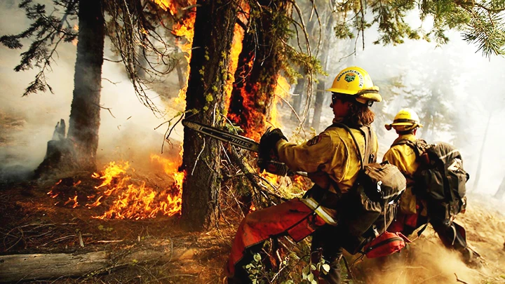 Cháy rừng gây thiệt hại lớn tại Hawaii tháng 8/2023. Ảnh: CA TIMES