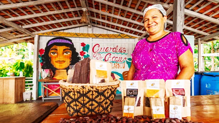 Dự án Cacao Guardians đang mang lại những hiệu ứng tích cực tại Amazon. Ảnh: THE GUARDIAN