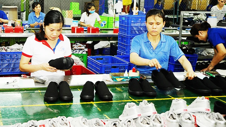 Biến động tỷ giá ảnh hưởng trực tiếp đến ngành da giày do nhiều doanh nghiệp nhập khẩu nguyên liệu đầu vào bằng USD. Ảnh: HẢI NAM