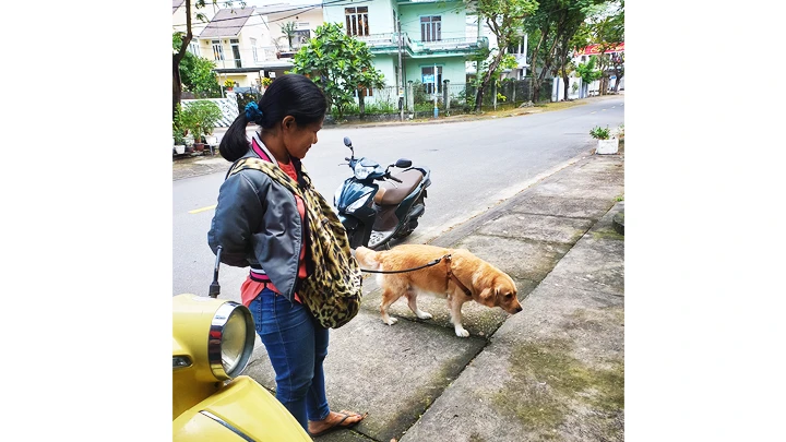 Người nuôi khi đưa chó ra các nơi công cộng cần tuân thủ những quy định chung.