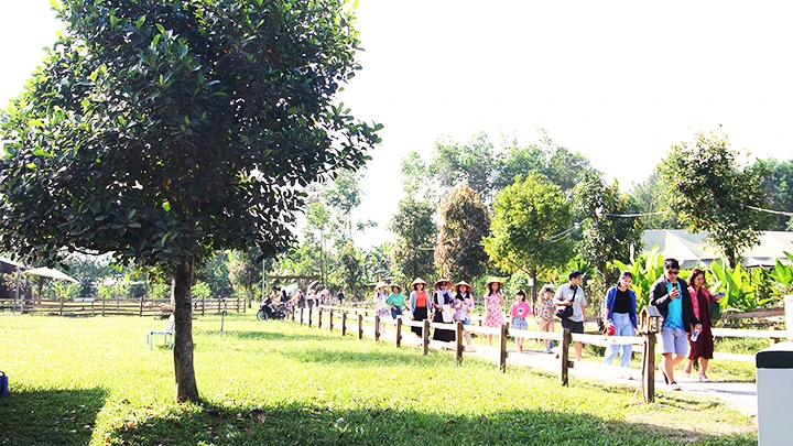 Banarita farm đang là điểm đến thu hút đông du khách Đà Nẵng.