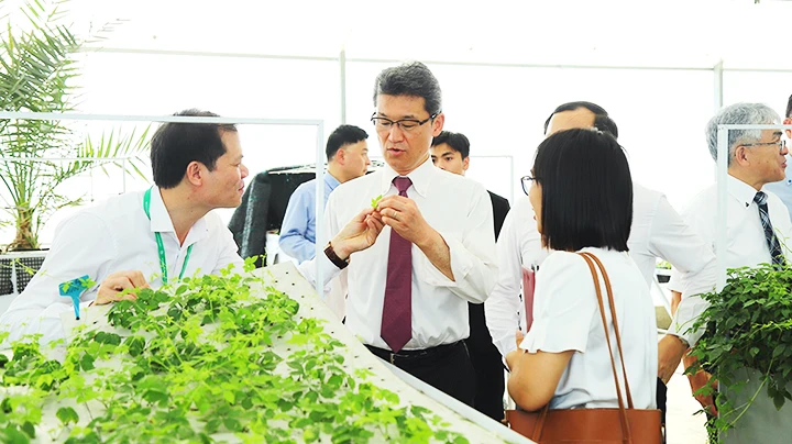 Ông Kohno Sunji, Tỉnh trưởng tỉnh Miyazaki (Nhật Bản) tham quan khu nhà lưới công nghệ cao tại Học viện Nông nghiệp Việt Nam.
